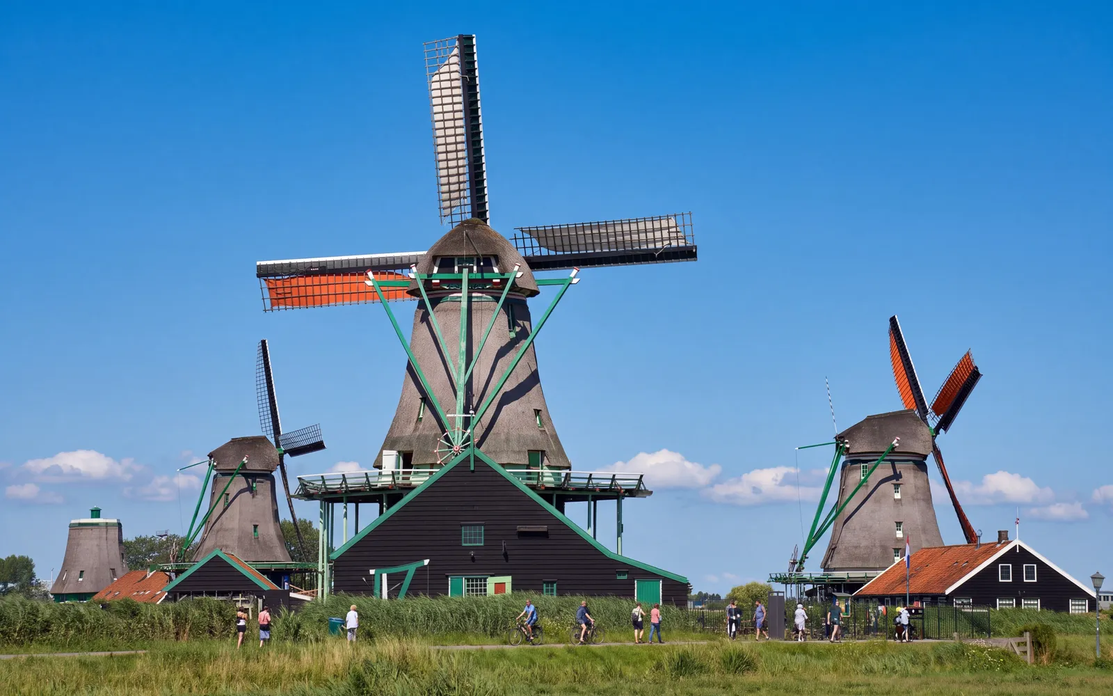 Windmills of the Zaanse Schans in Zaandam, seen across the meadows